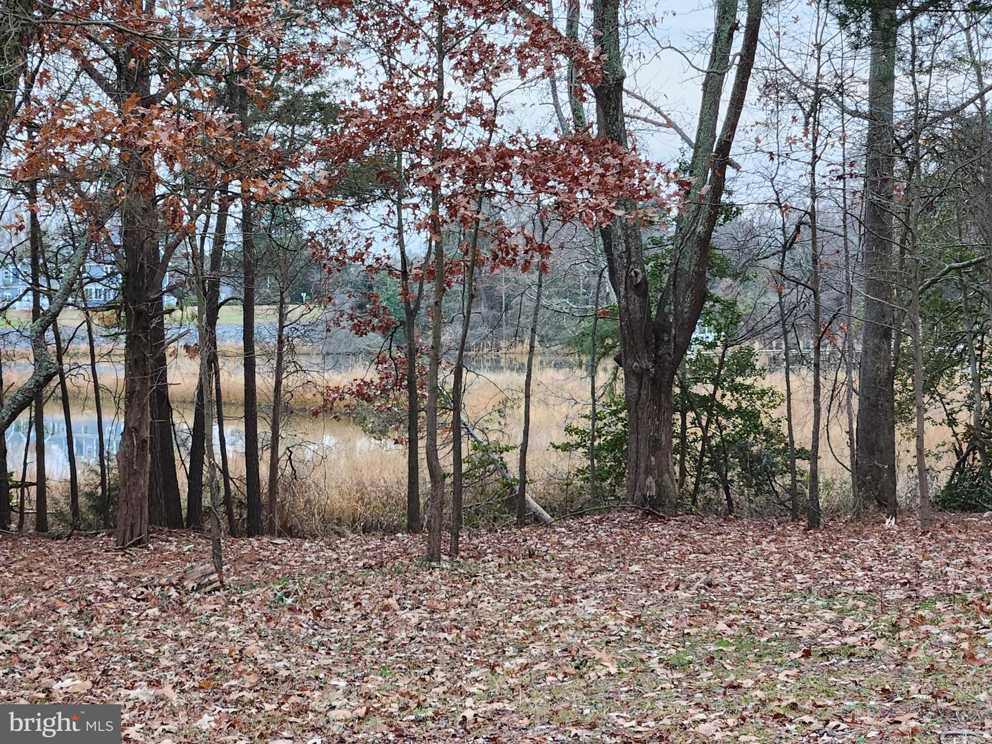 LOT 8 MARILOU LN, COLONIAL BEACH, Virginia 22443, ,Land,For sale,LOT 8 MARILOU LN,VAWE2008900 MLS # VAWE2008900