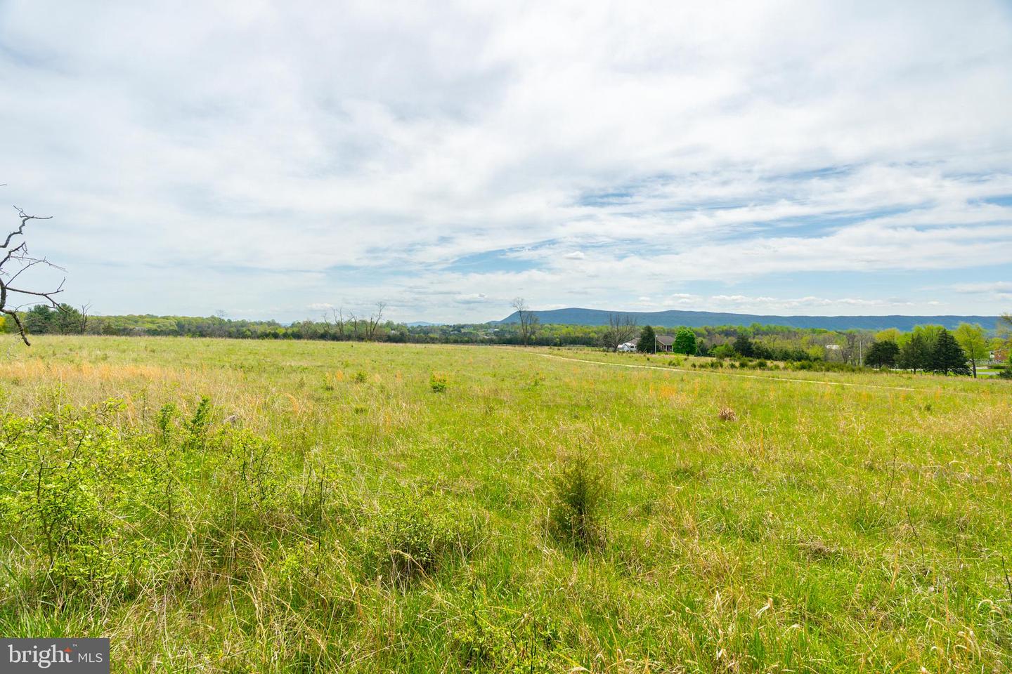 TBD BACK RD, STRASBURG, Virginia 22657, ,Land,For sale,TBD BACK RD,VASH2011470 MLS # VASH2011470