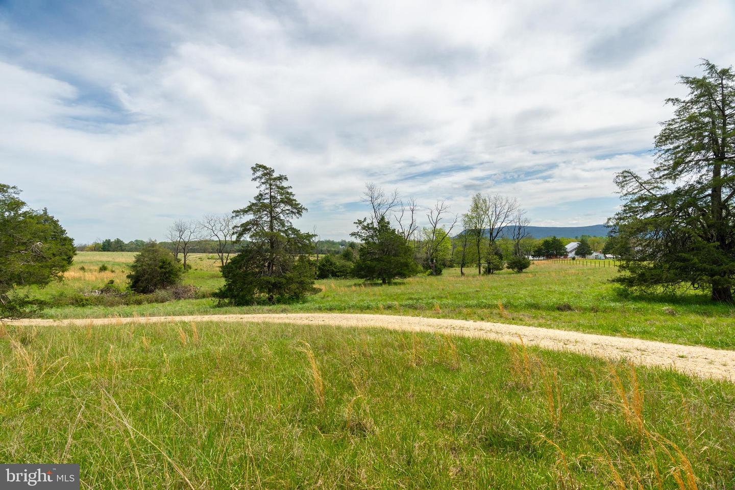 TBD BACK RD, STRASBURG, Virginia 22657, ,Land,For sale,TBD BACK RD,VASH2011470 MLS # VASH2011470