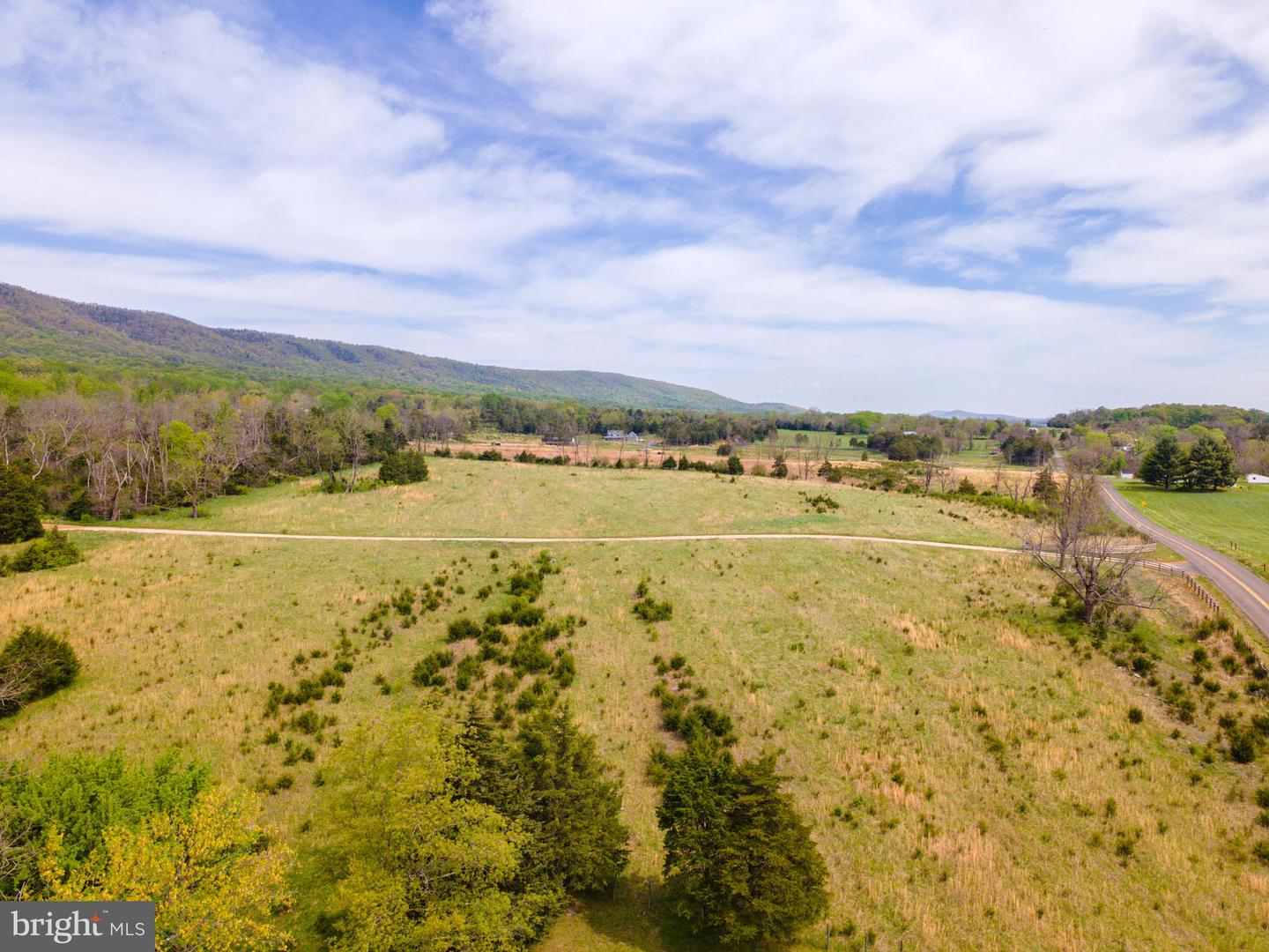 TBD BACK RD, STRASBURG, Virginia 22657, ,Land,For sale,TBD BACK RD,VASH2011470 MLS # VASH2011470