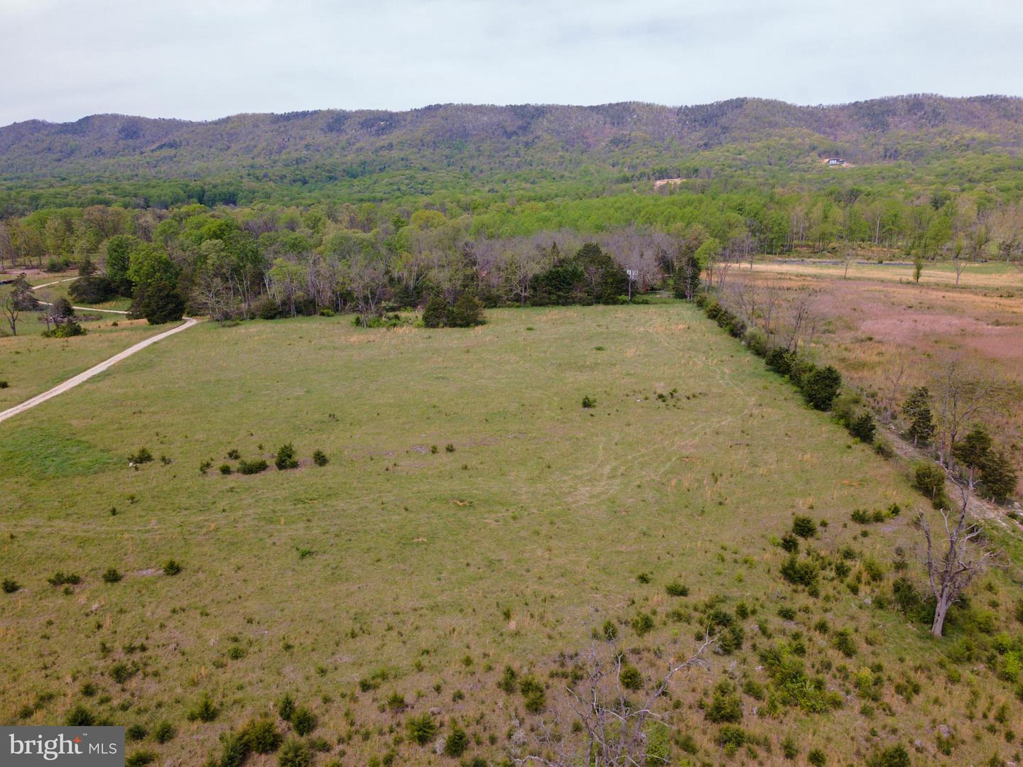TBD BACK RD, STRASBURG, Virginia 22657, ,Land,For sale,TBD BACK RD,VASH2011470 MLS # VASH2011470
