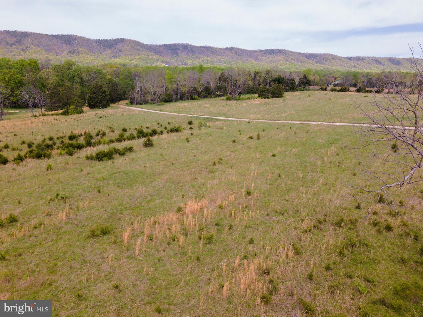 TBD BACK RD, STRASBURG, Virginia 22657, ,Land,For sale,TBD BACK RD,VASH2011470 MLS # VASH2011470