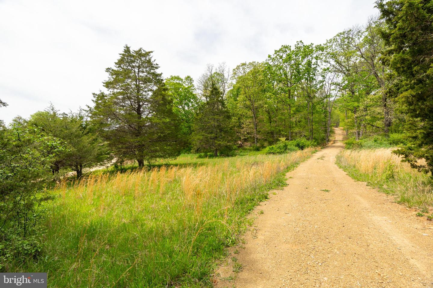TBD BACK RD, STRASBURG, Virginia 22657, ,Land,For sale,TBD BACK RD,VASH2011470 MLS # VASH2011470