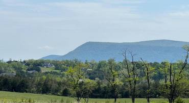 TBD BACK RD, STRASBURG, Virginia 22657, ,Land,For sale,TBD BACK RD,VASH2011470 MLS # VASH2011470