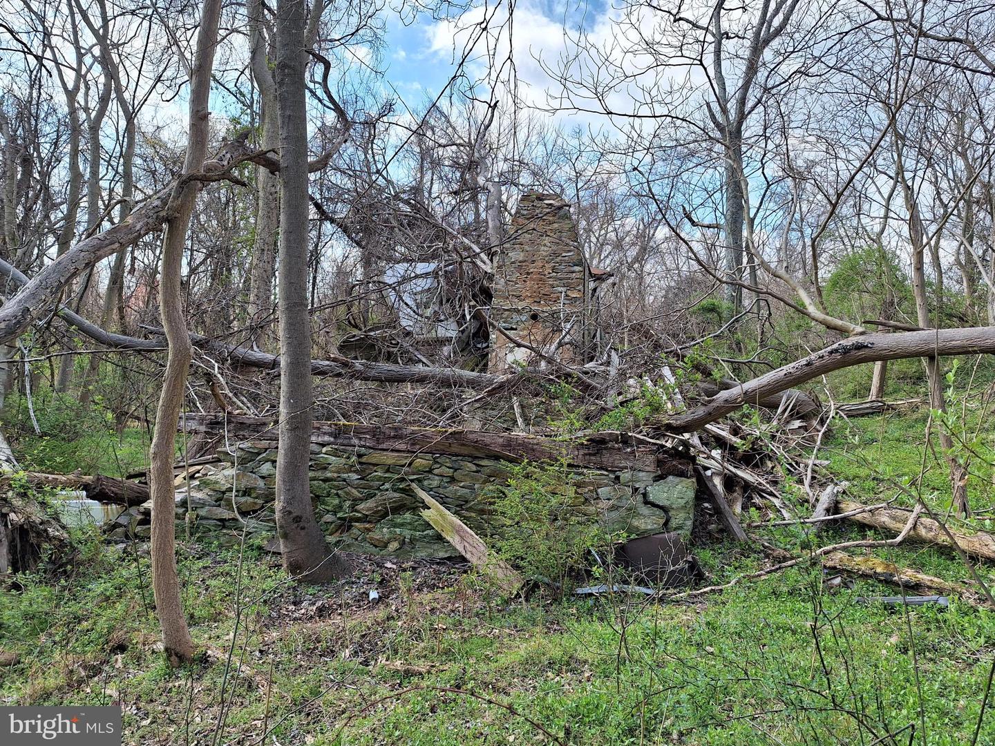 18590 APPX FOGGY BOTTOM RD., BLUEMONT, Virginia 20135, ,Land,For sale,18590 APPX FOGGY BOTTOM RD.,VALO2096590 MLS # VALO2096590