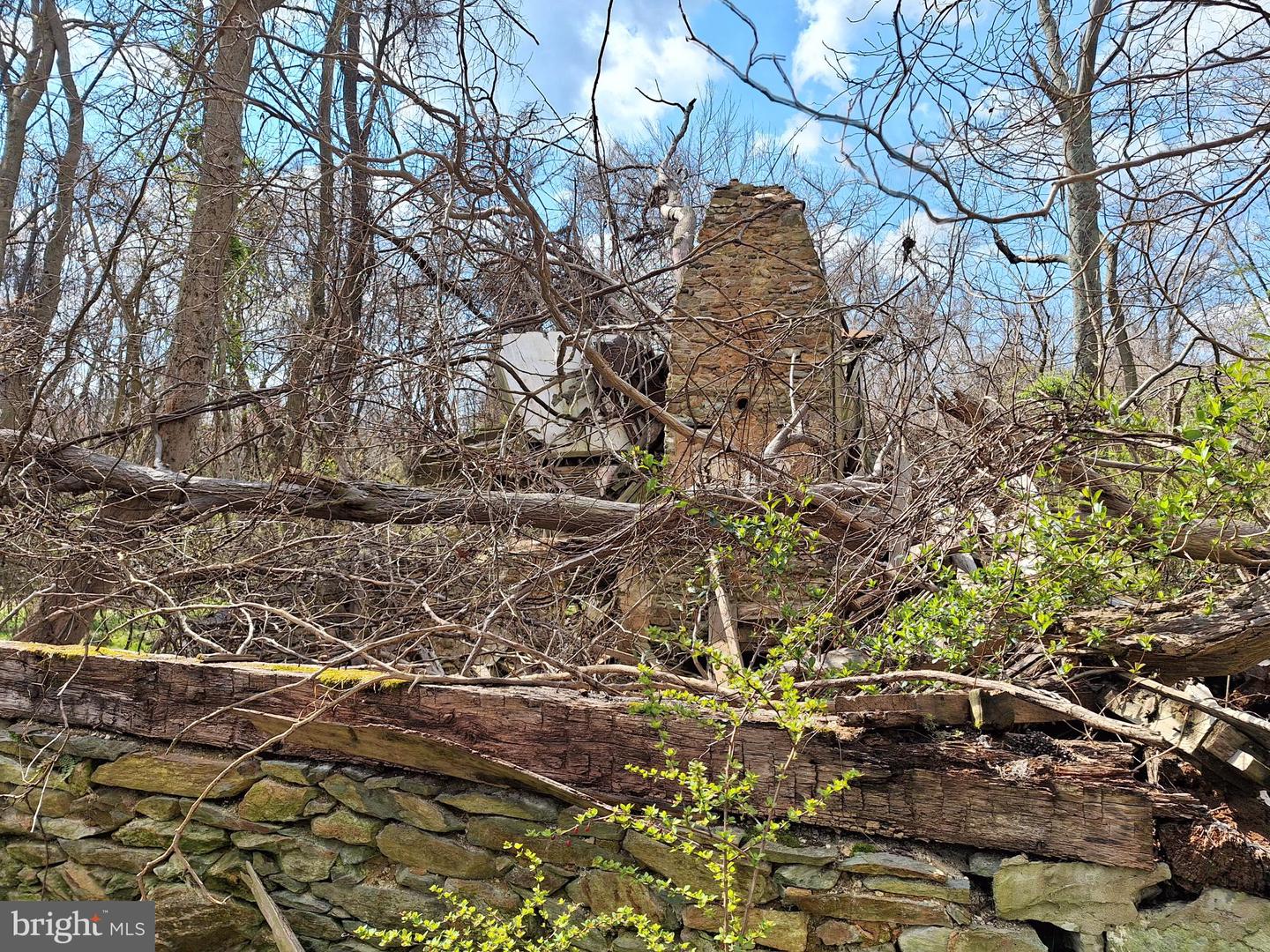 18590 APPX FOGGY BOTTOM RD., BLUEMONT, Virginia 20135, ,Land,For sale,18590 APPX FOGGY BOTTOM RD.,VALO2096590 MLS # VALO2096590