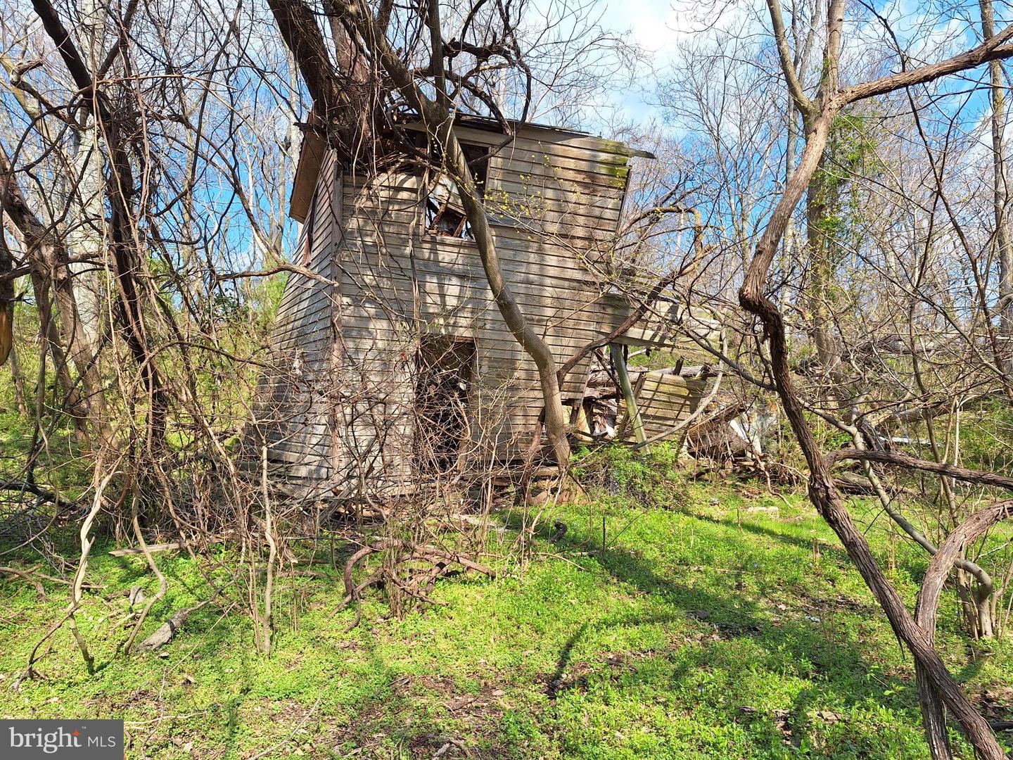 18590 APPX FOGGY BOTTOM RD., BLUEMONT, Virginia 20135, ,Land,For sale,18590 APPX FOGGY BOTTOM RD.,VALO2096590 MLS # VALO2096590