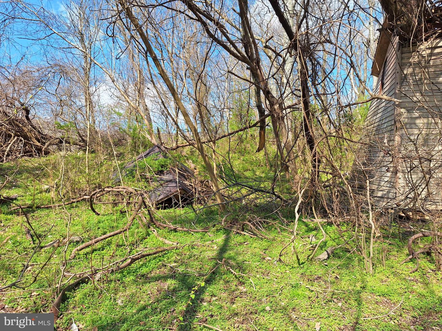 18590 APPX FOGGY BOTTOM RD., BLUEMONT, Virginia 20135, ,Land,For sale,18590 APPX FOGGY BOTTOM RD.,VALO2096590 MLS # VALO2096590