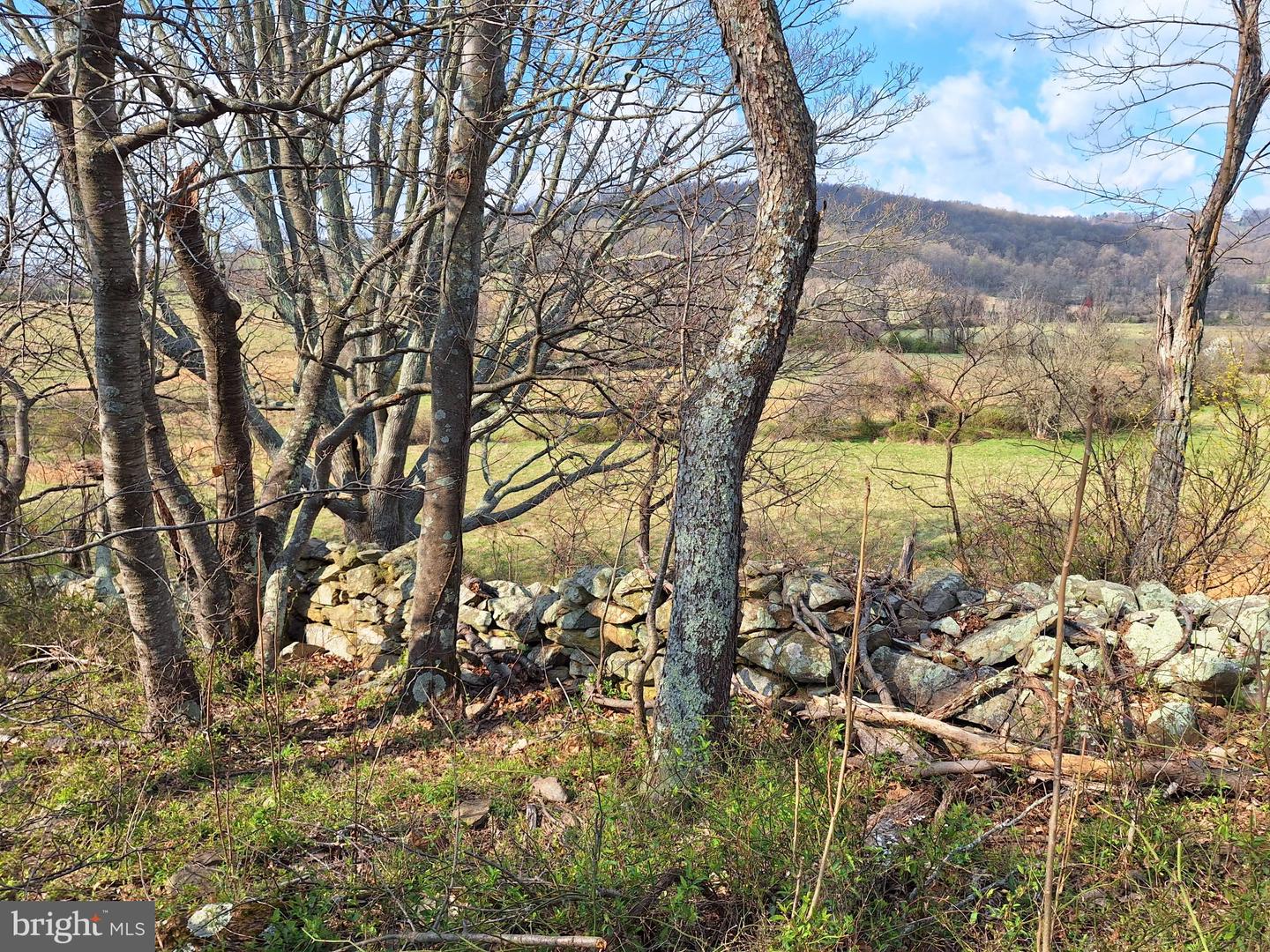 18590 APPX FOGGY BOTTOM RD., BLUEMONT, Virginia 20135, ,Land,For sale,18590 APPX FOGGY BOTTOM RD.,VALO2096590 MLS # VALO2096590
