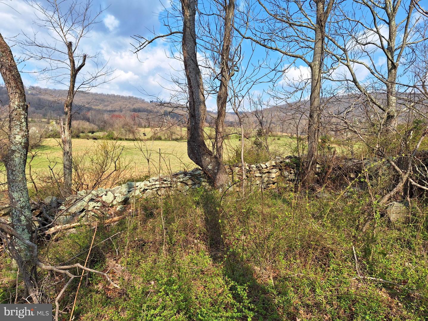 18590 APPX FOGGY BOTTOM RD., BLUEMONT, Virginia 20135, ,Land,For sale,18590 APPX FOGGY BOTTOM RD.,VALO2096590 MLS # VALO2096590