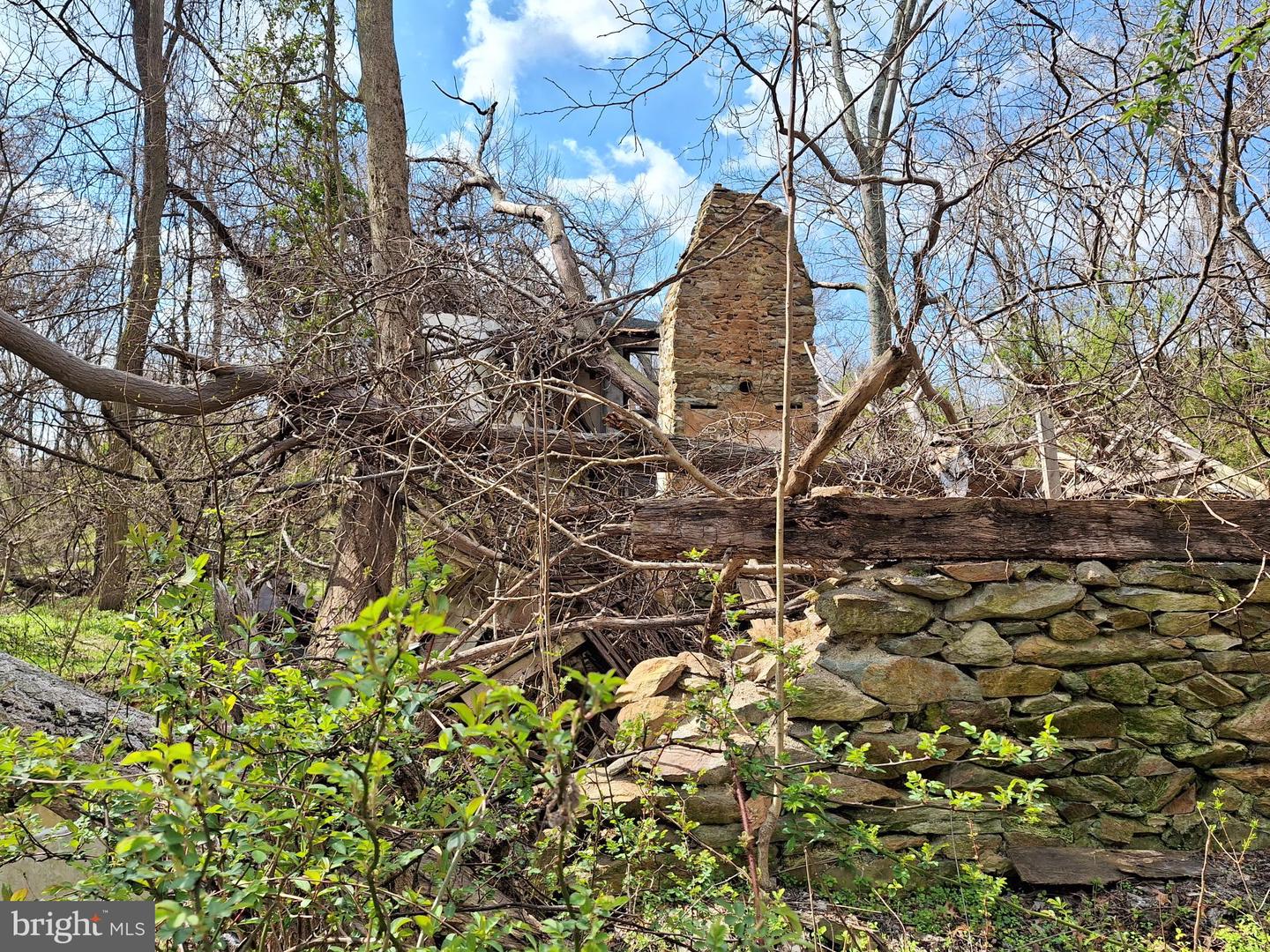 18590 APPX FOGGY BOTTOM RD., BLUEMONT, Virginia 20135, ,Land,For sale,18590 APPX FOGGY BOTTOM RD.,VALO2096590 MLS # VALO2096590