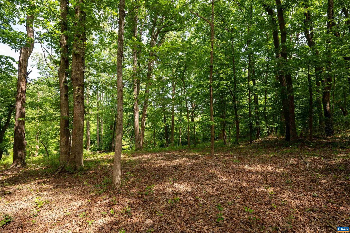 TBD HALF MILE BRANCH RD #055A0-00-00-00500, CROZET, Virginia 22932, ,Land,For sale,TBD HALF MILE BRANCH RD #055A0-00-00-00500,664580 MLS # 664580