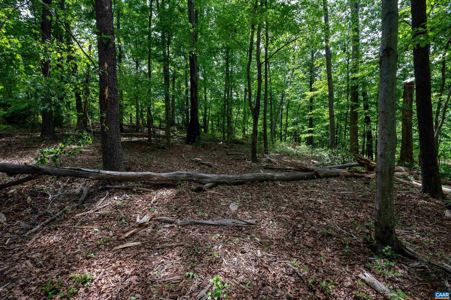 TBD HALF MILE BRANCH RD #055A0-00-00-00500, CROZET, Virginia 22932, ,Land,For sale,TBD HALF MILE BRANCH RD #055A0-00-00-00500,664580 MLS # 664580