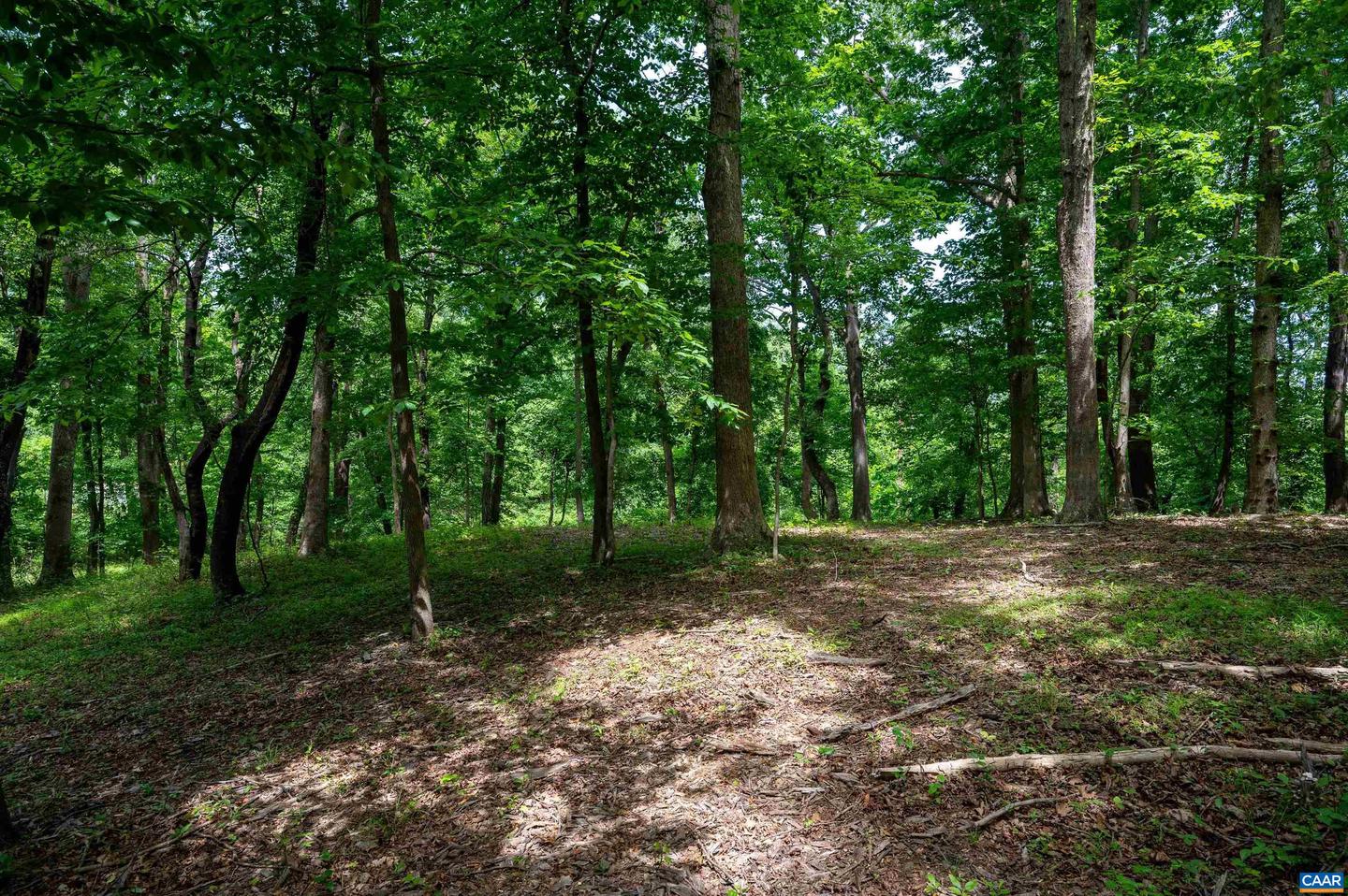 TBD HALF MILE BRANCH RD #055A0-00-00-00500, CROZET, Virginia 22932, ,Land,For sale,TBD HALF MILE BRANCH RD #055A0-00-00-00500,664580 MLS # 664580