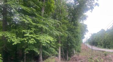 KINGS HWY, MONTROSS, Virginia 22520, ,Land,For sale,KINGS HWY,VAWE2008910 MLS # VAWE2008910