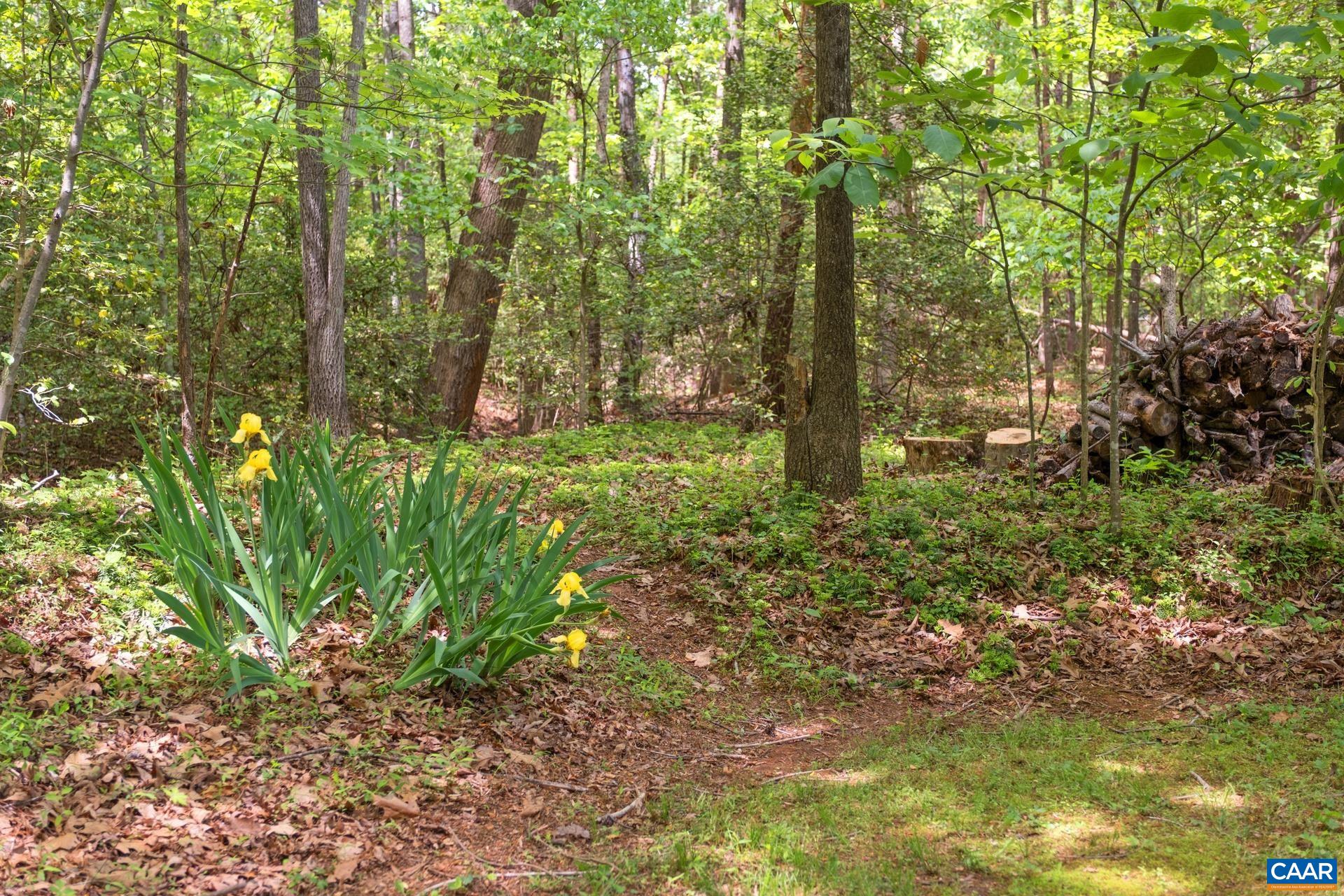 222 DOE DR, RUCKERSVILLE, Virginia 22968, 3 Bedrooms Bedrooms, ,3 BathroomsBathrooms,Residential,222 DOE DR,664444 MLS # 664444