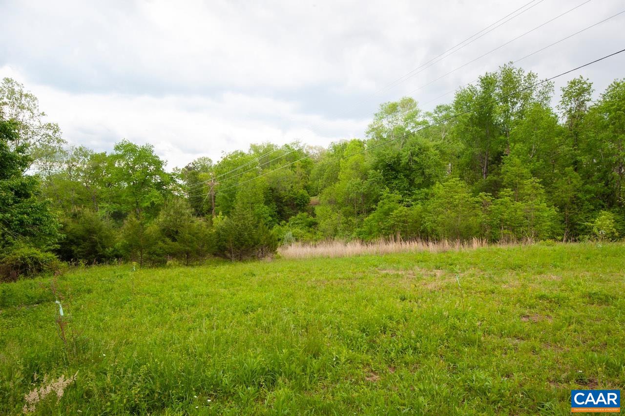 1238 TYE BROOK HWY, PINEY RIVER, Virginia 22964, 4 Bedrooms Bedrooms, ,2 BathroomsBathrooms,Residential,1238 TYE BROOK HWY,664586 MLS # 664586