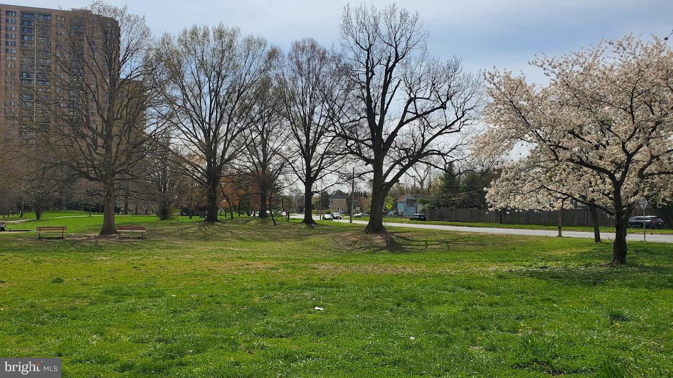 5501 SEMINARY RD #514S, FALLS CHURCH, Virginia 22041, 2 Bedrooms Bedrooms, ,1 BathroomBathrooms,Residential,For sale,5501 SEMINARY RD #514S,VAFX2230756 MLS # VAFX2230756