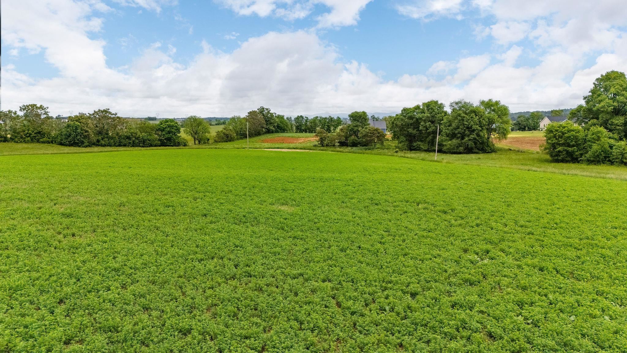 668 CHURCHMANS MILL RD, STUARTS DRAFT, Virginia 24477, ,Land,668 CHURCHMANS MILL RD,664611 MLS # 664611