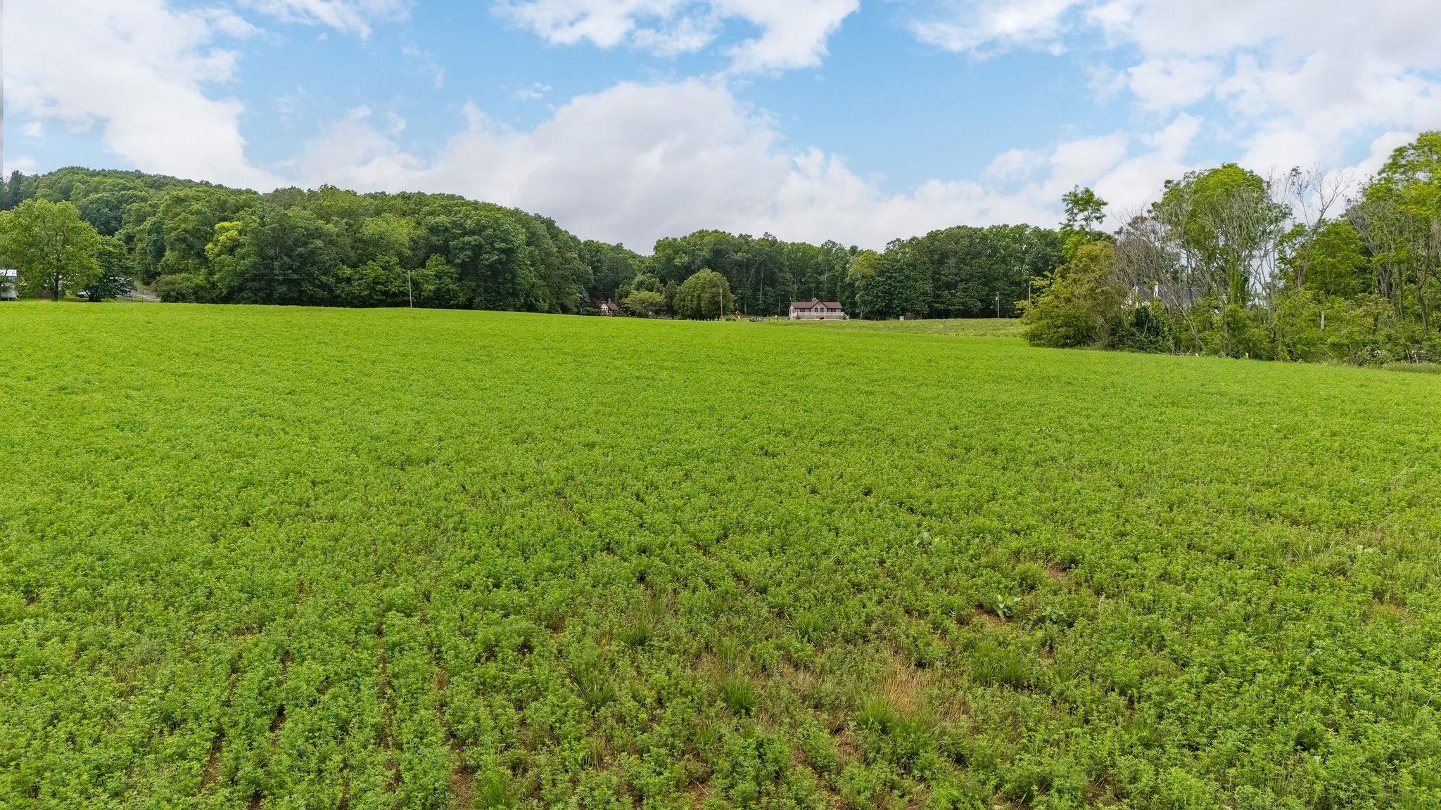 668 CHURCHMANS MILL RD, STUARTS DRAFT, Virginia 24477, ,Land,668 CHURCHMANS MILL RD,664611 MLS # 664611