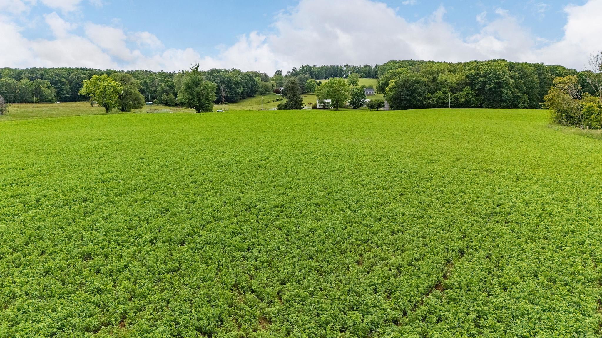668 CHURCHMANS MILL RD, STUARTS DRAFT, Virginia 24477, ,Land,668 CHURCHMANS MILL RD,664611 MLS # 664611