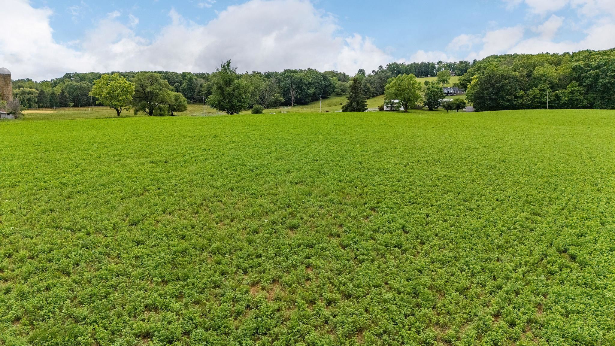 668 CHURCHMANS MILL RD, STUARTS DRAFT, Virginia 24477, ,Land,668 CHURCHMANS MILL RD,664611 MLS # 664611