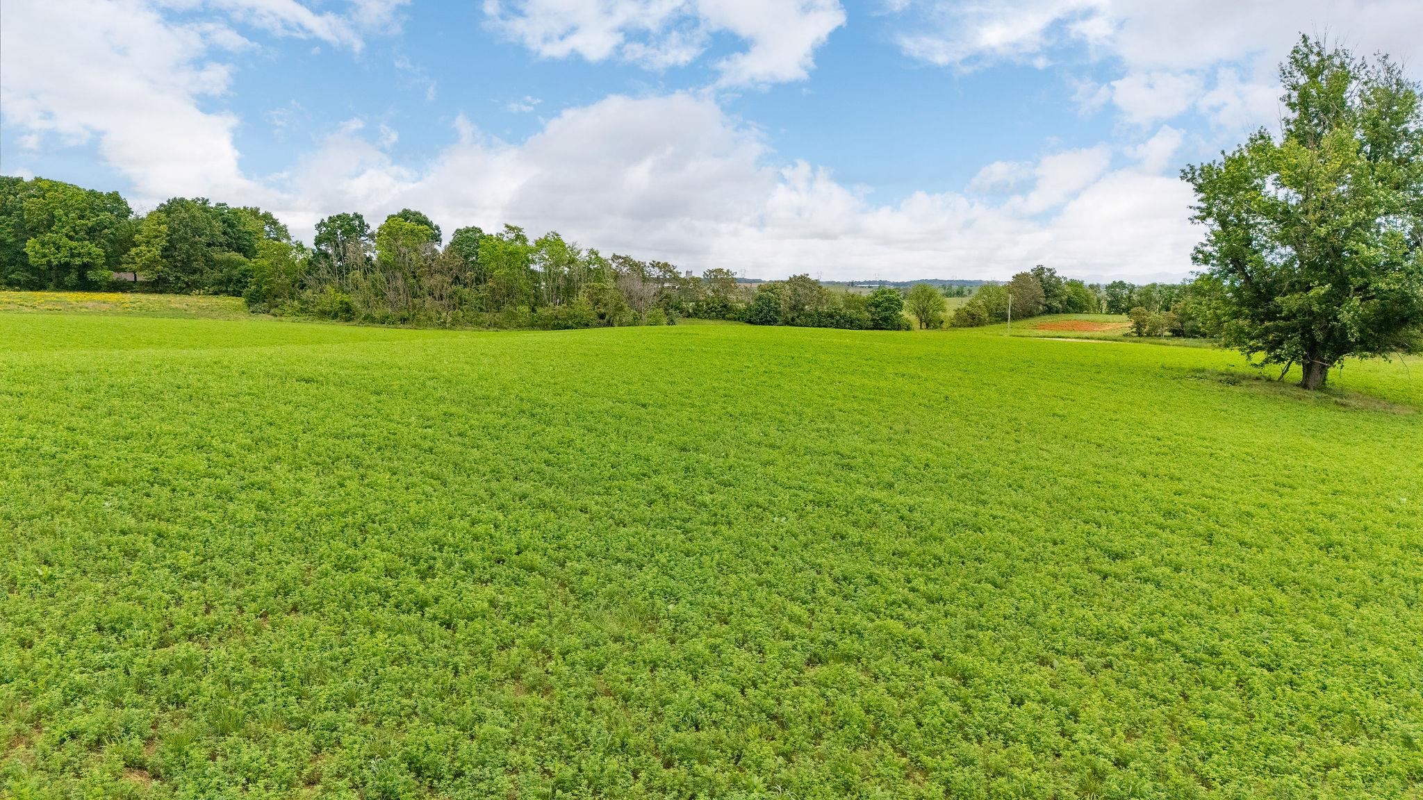 668 CHURCHMANS MILL RD, STUARTS DRAFT, Virginia 24477, ,Land,668 CHURCHMANS MILL RD,664611 MLS # 664611