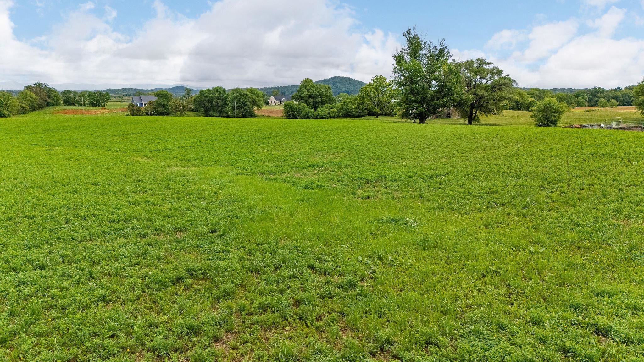 668 CHURCHMANS MILL RD, STUARTS DRAFT, Virginia 24477, ,Land,668 CHURCHMANS MILL RD,664611 MLS # 664611