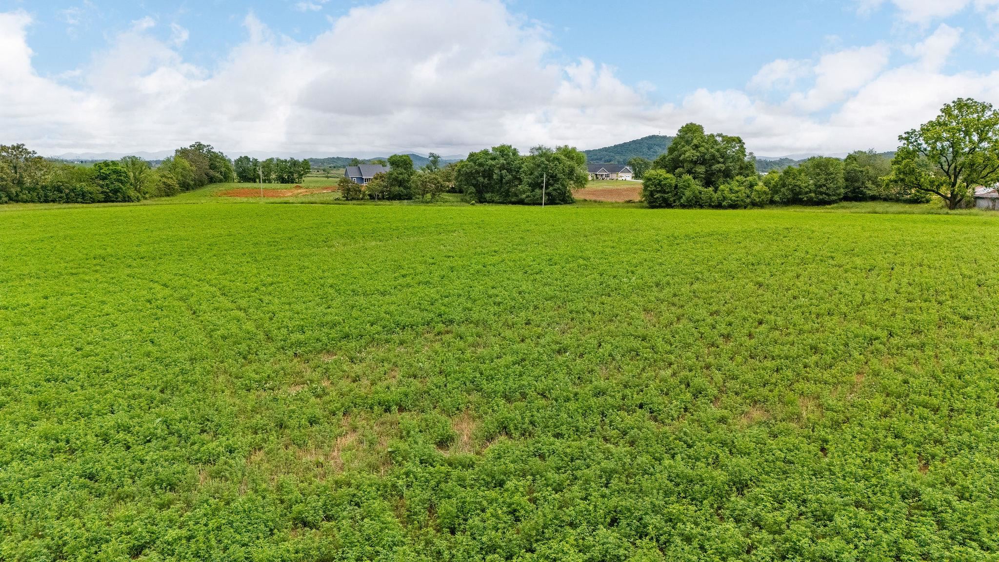 668 CHURCHMANS MILL RD, STUARTS DRAFT, Virginia 24477, ,Land,668 CHURCHMANS MILL RD,664611 MLS # 664611