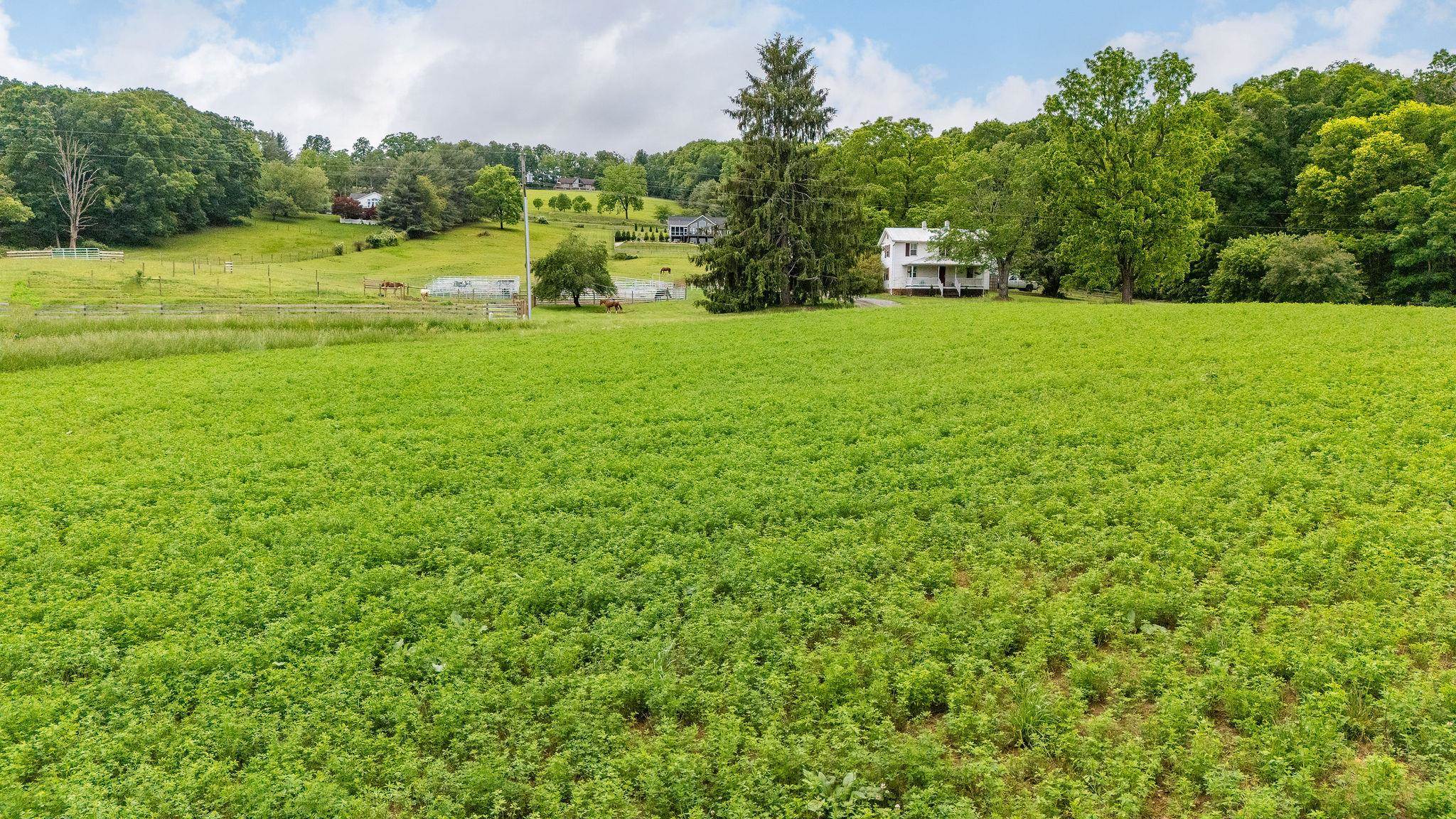 668 CHURCHMANS MILL RD, STUARTS DRAFT, Virginia 24477, ,Land,668 CHURCHMANS MILL RD,664611 MLS # 664611
