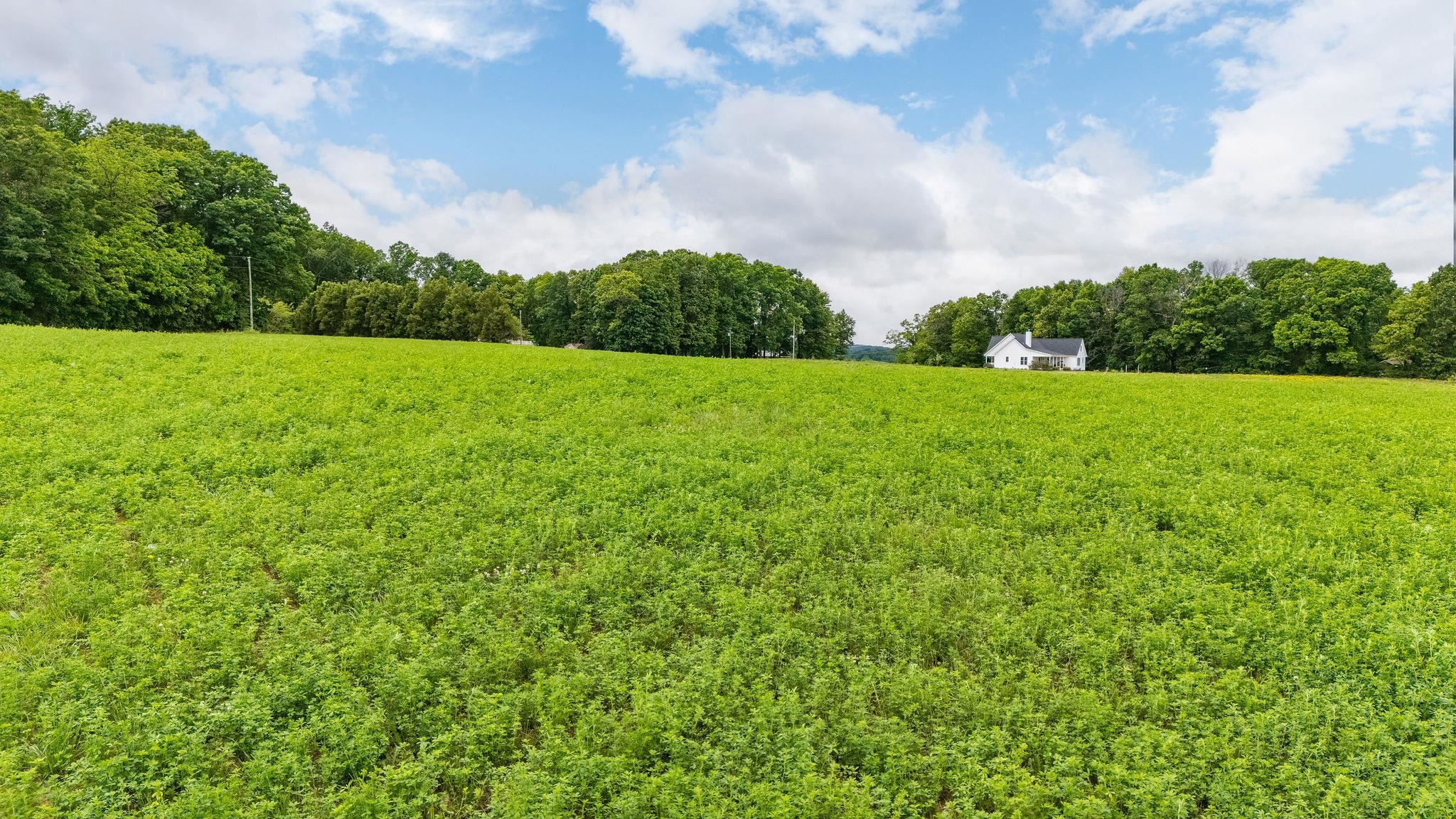 668 CHURCHMANS MILL RD, STUARTS DRAFT, Virginia 24477, ,Land,668 CHURCHMANS MILL RD,664611 MLS # 664611
