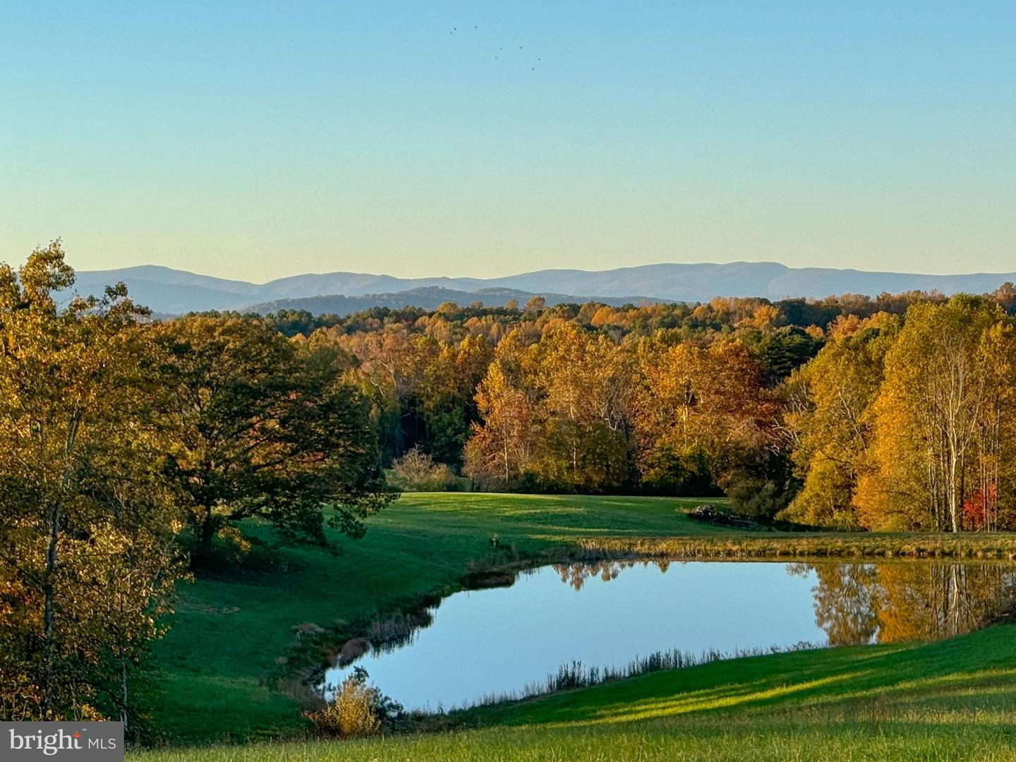 LOT 1 HOLLY HILL FARM LANE, REVA, Virginia 22735, ,Land,For sale,LOT 1 HOLLY HILL FARM LANE,VACU2010482 MLS # VACU2010482