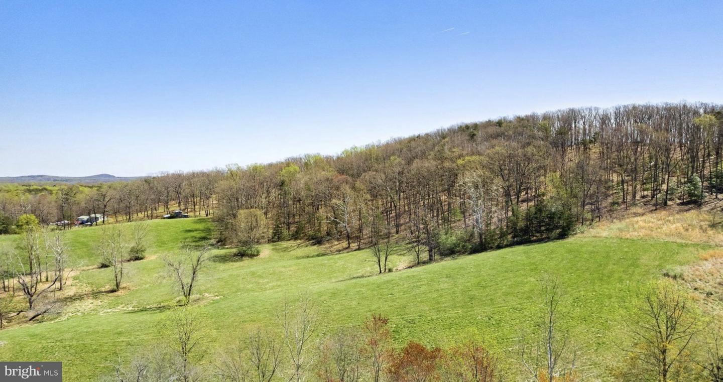 LOT 1 HOLLY HILL FARM LANE, REVA, Virginia 22735, ,Land,For sale,LOT 1 HOLLY HILL FARM LANE,VACU2010482 MLS # VACU2010482