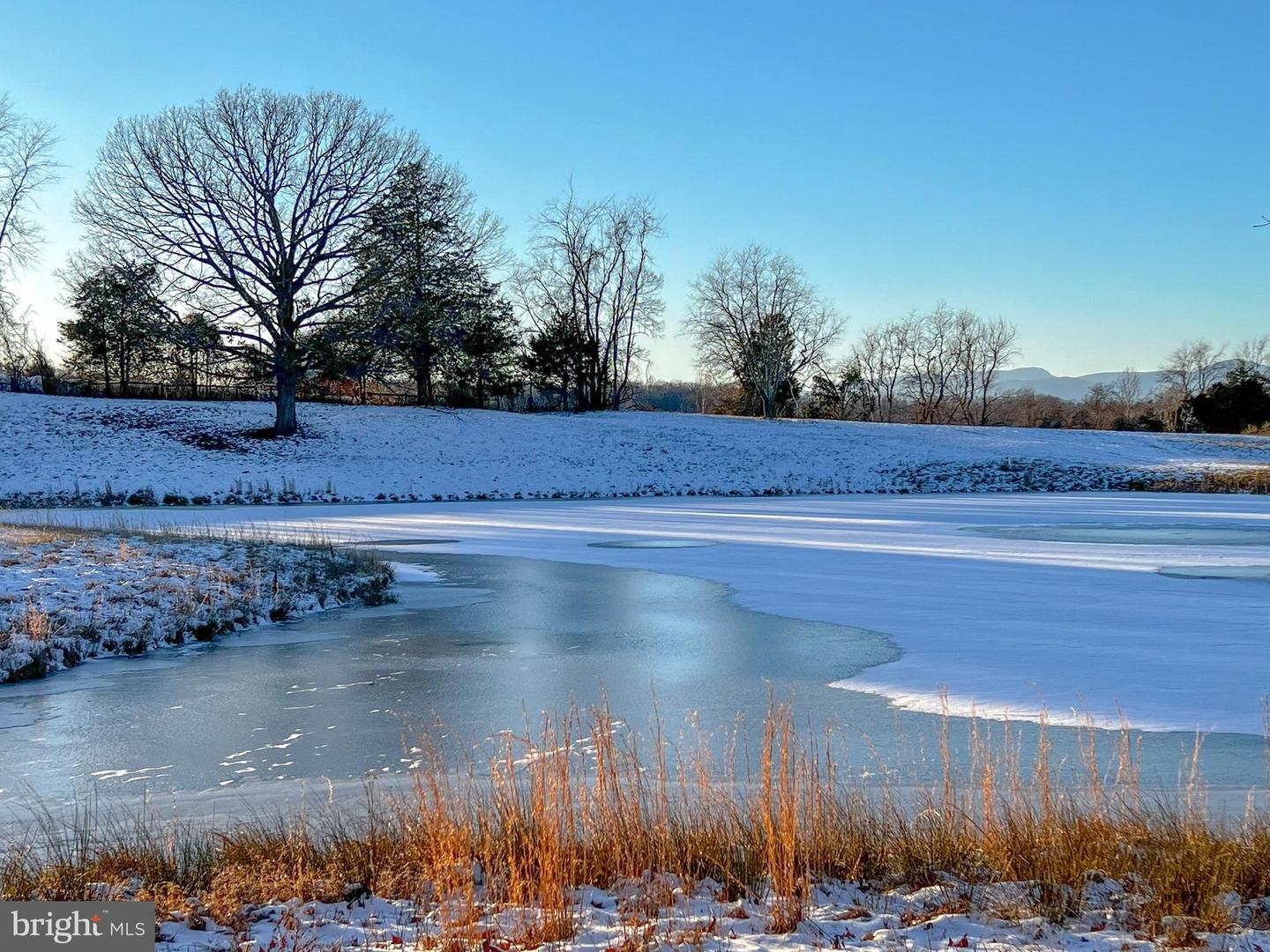 LOT 2 HOLLY HILL FARM LANE, REVA, Virginia 22735, ,Land,For sale,LOT 2 HOLLY HILL FARM LANE,VACU2010488 MLS # VACU2010488