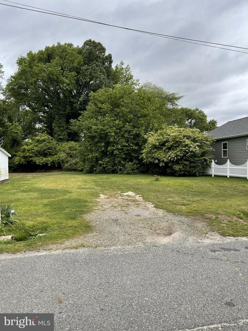 KINTZ ST, COLONIAL BEACH, Virginia 22443, ,Land,For sale,KINTZ ST,VAWE2008892 MLS # VAWE2008892