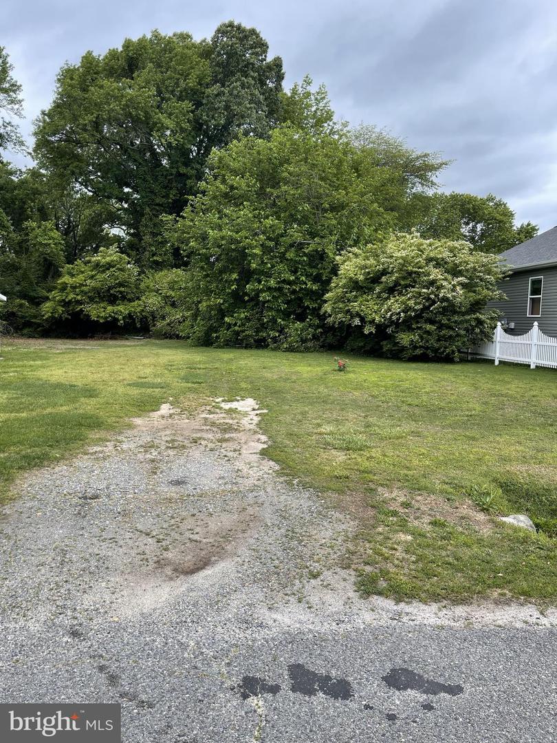 KINTZ ST, COLONIAL BEACH, Virginia 22443, ,Land,For sale,KINTZ ST,VAWE2008892 MLS # VAWE2008892