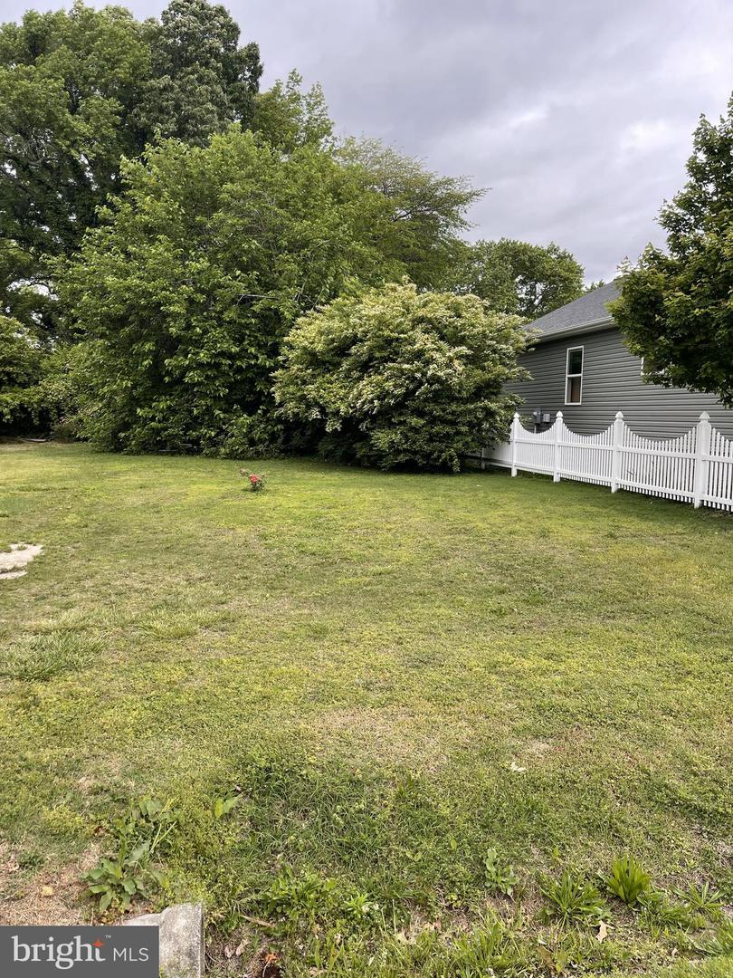 KINTZ ST, COLONIAL BEACH, Virginia 22443, ,Land,For sale,KINTZ ST,VAWE2008892 MLS # VAWE2008892