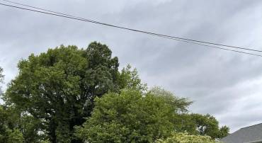 KINTZ ST, COLONIAL BEACH, Virginia 22443, ,Land,For sale,KINTZ ST,VAWE2008892 MLS # VAWE2008892