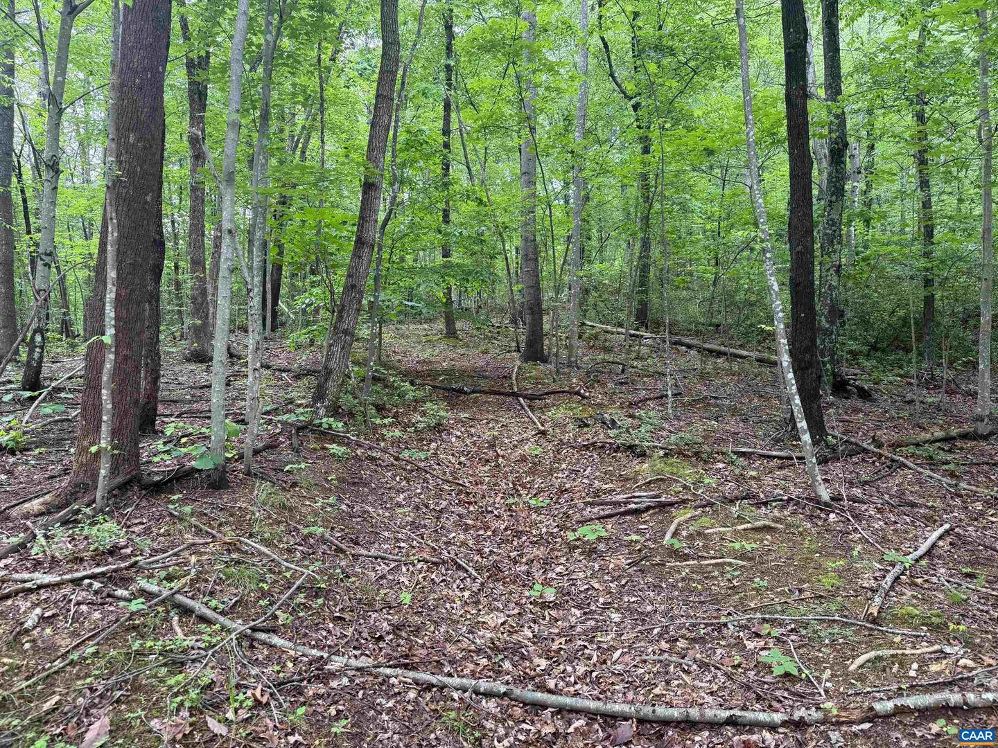 TBD RABBIT VALLEY RD, NORTH GARDEN, Virginia 22959, ,Farm,For sale,TBD RABBIT VALLEY RD,664606 MLS # 664606