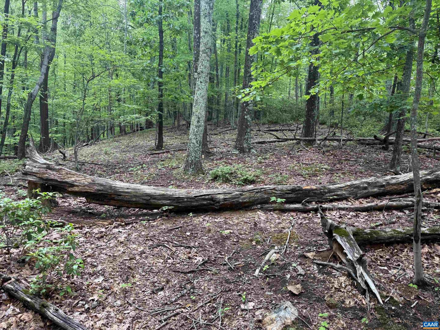 TBD RABBIT VALLEY RD, NORTH GARDEN, Virginia 22959, ,Farm,For sale,TBD RABBIT VALLEY RD,664606 MLS # 664606