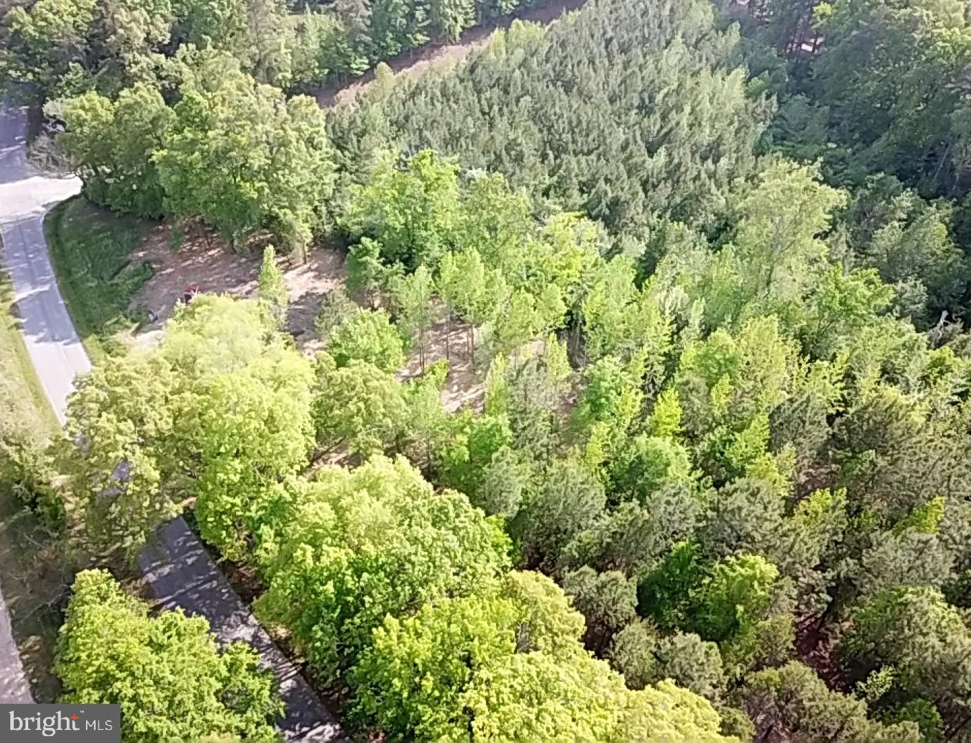 1661 ANTLERS RD, BOYDTON, Virginia 23917, ,Land,For sale,1661 ANTLERS RD,VAMB2000060 MLS # VAMB2000060