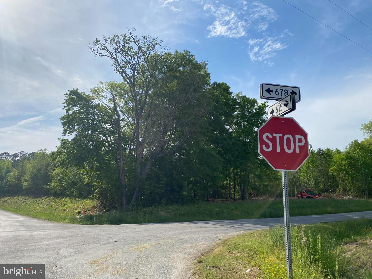 1661 ANTLERS RD, BOYDTON, Virginia 23917, ,Land,For sale,1661 ANTLERS RD,VAMB2000060 MLS # VAMB2000060
