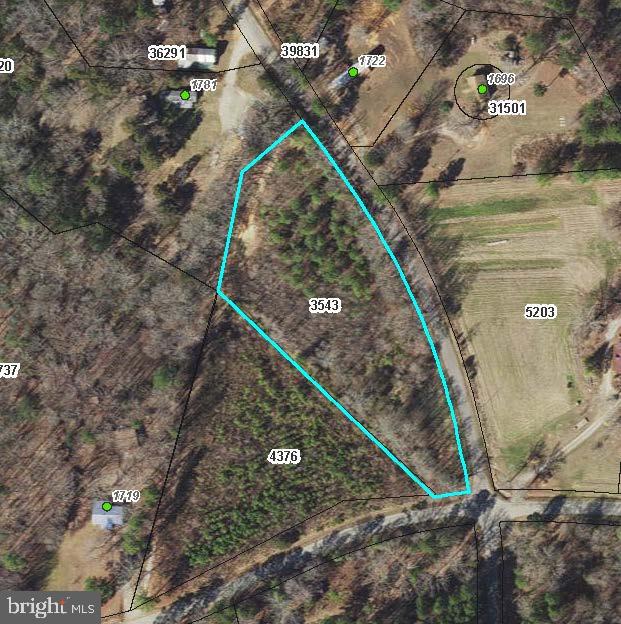 1661 ANTLERS RD, BOYDTON, Virginia 23917, ,Land,For sale,1661 ANTLERS RD,VAMB2000060 MLS # VAMB2000060