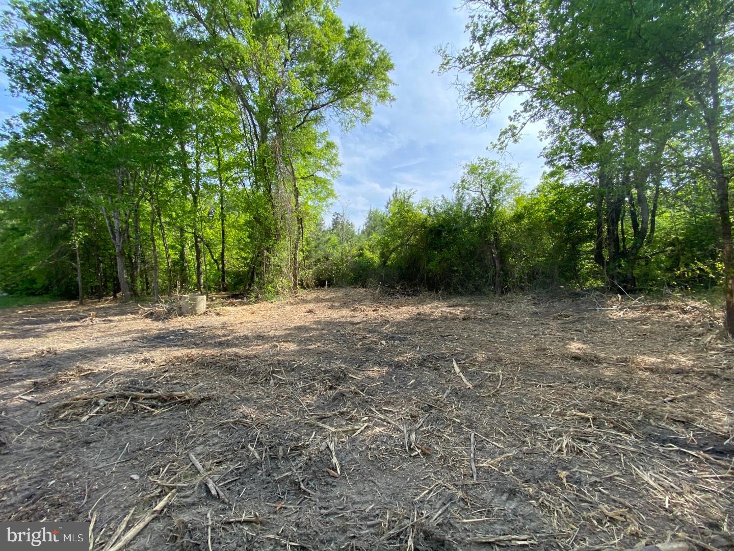 1661 ANTLERS RD, BOYDTON, Virginia 23917, ,Land,For sale,1661 ANTLERS RD,VAMB2000060 MLS # VAMB2000060