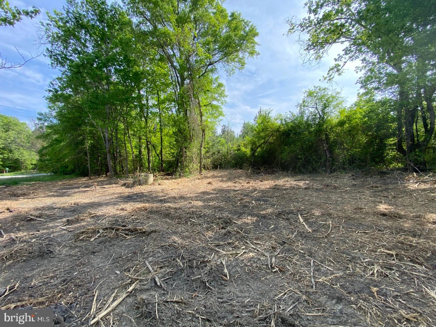 1661 ANTLERS RD, BOYDTON, Virginia 23917, ,Land,For sale,1661 ANTLERS RD,VAMB2000060 MLS # VAMB2000060
