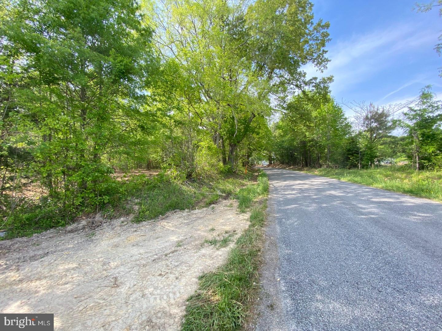 1661 ANTLERS RD, BOYDTON, Virginia 23917, ,Land,For sale,1661 ANTLERS RD,VAMB2000060 MLS # VAMB2000060