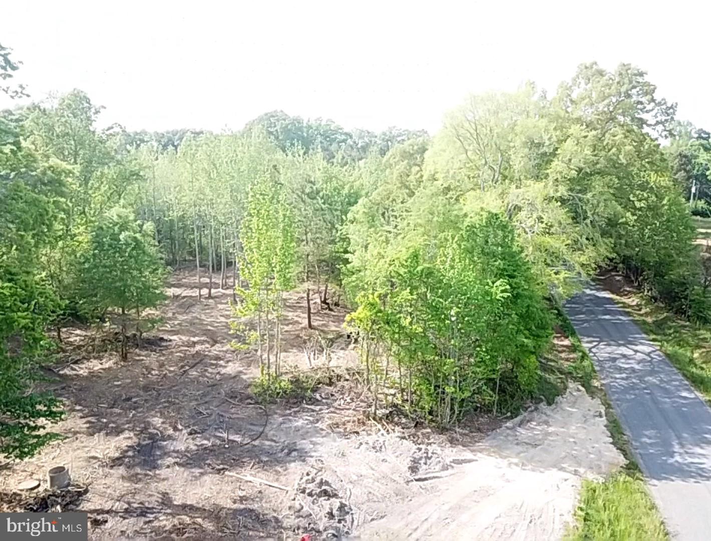 1661 ANTLERS RD, BOYDTON, Virginia 23917, ,Land,For sale,1661 ANTLERS RD,VAMB2000060 MLS # VAMB2000060