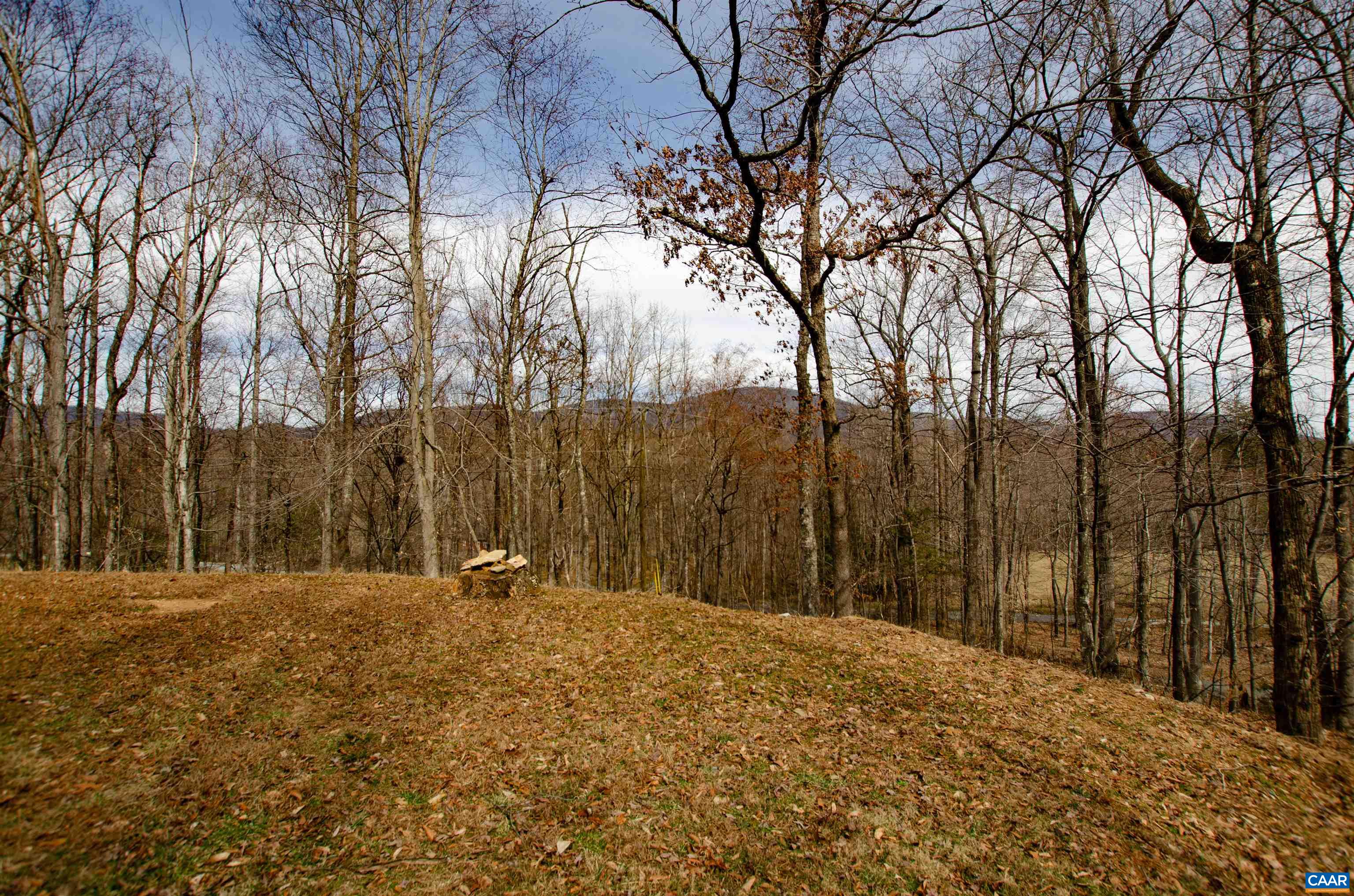 29 HORSESHOE MOUNTAIN RD, ROSELAND, Virginia 22967, 2 Bedrooms Bedrooms, ,2 BathroomsBathrooms,Residential,Like New Panoramic Mountain View Cottage Amazing L,29 HORSESHOE MOUNTAIN RD,661841 MLS # 661841