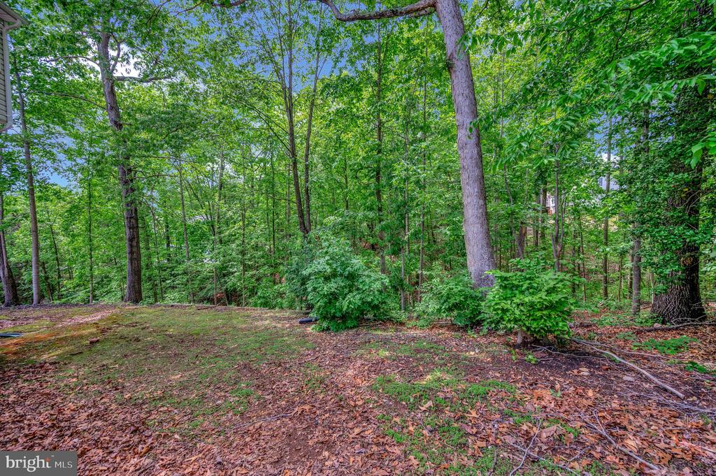 3715 FAIRWAYS CT, FREDERICKSBURG, Virginia 22408, 4 Bedrooms Bedrooms, ,3 BathroomsBathrooms,Residential,3715 FAIRWAYS CT,VASP2033148 MLS # VASP2033148