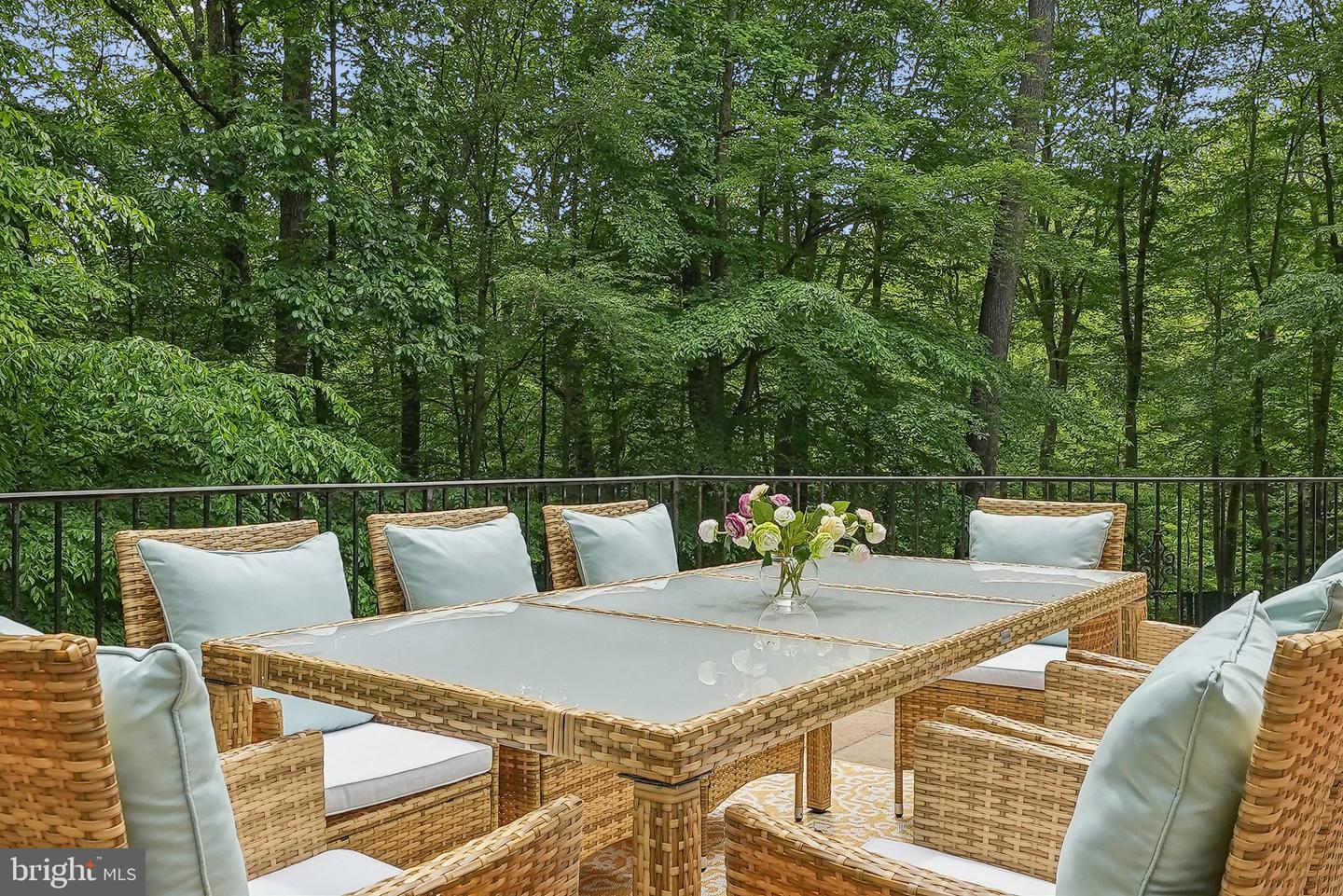 1342 POTOMAC SCHOOL RD, MCLEAN, Virginia 22101, 8 Bedrooms Bedrooms, ,7 BathroomsBathrooms,Residential,For sale,1342 POTOMAC SCHOOL RD,VAFX2229086 MLS # VAFX2229086